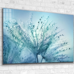 Dandelion Tempered Glass Wall Art: Extra Large Floral Print