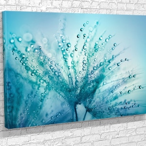 Dandelion Dew Drops Canvas Print: Modern Floating Frame Wall Art