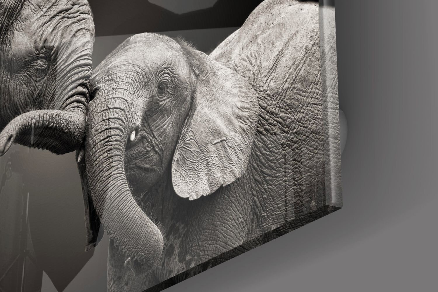 Elephant Tempered Glass Printing Wall Art Natural And Vivid Etsy