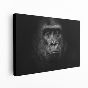 Gorilla Canvas Print: Modern Floating Frame Wall Art