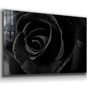Black Rose Canvas Wall Art: Floating Frame Flower Decor