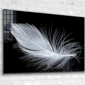 White Feather Tempered Glass Wall Art
