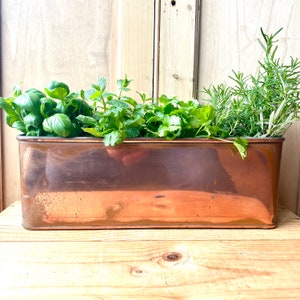 Puede incluir: Una jardinera rectangular de cobre llena de hierbas frescas, como albahaca, menta, cilantro y romero. La jardinera tiene un aspecto envejecido y las hierbas son de un verde vibrante. La jardinera está sobre una superficie de madera.