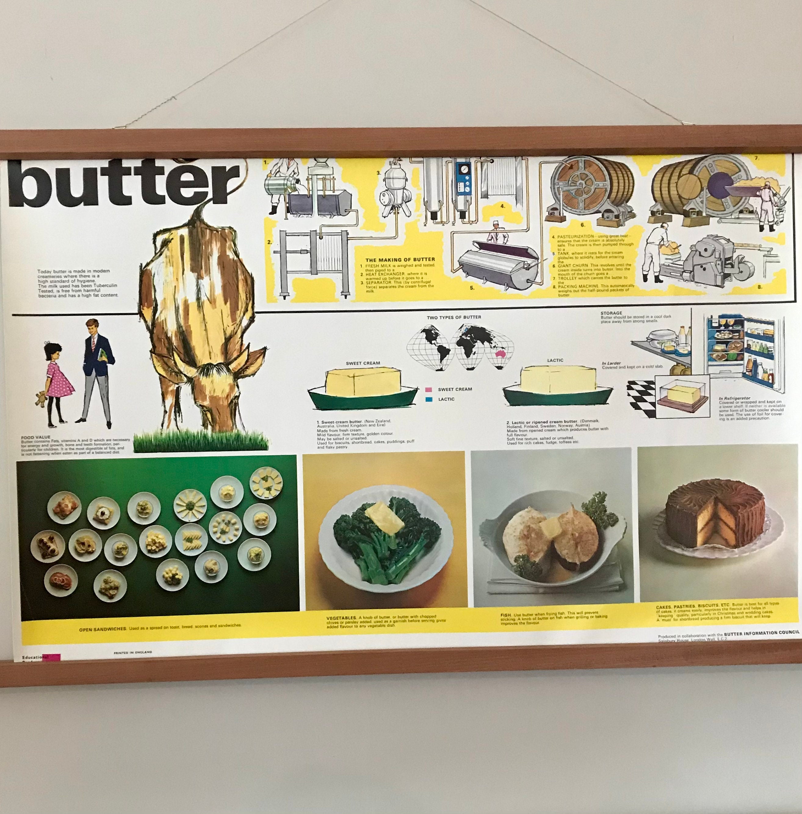 Vintage Educational posters School Posters Historic posters Etsy