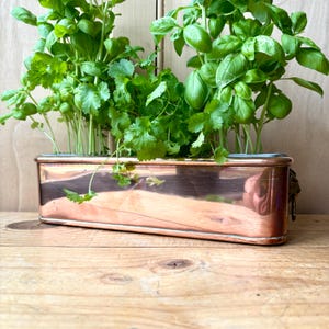 Vintage Copper Trough Planter | Brass & Copper trough | Kitchen Decor