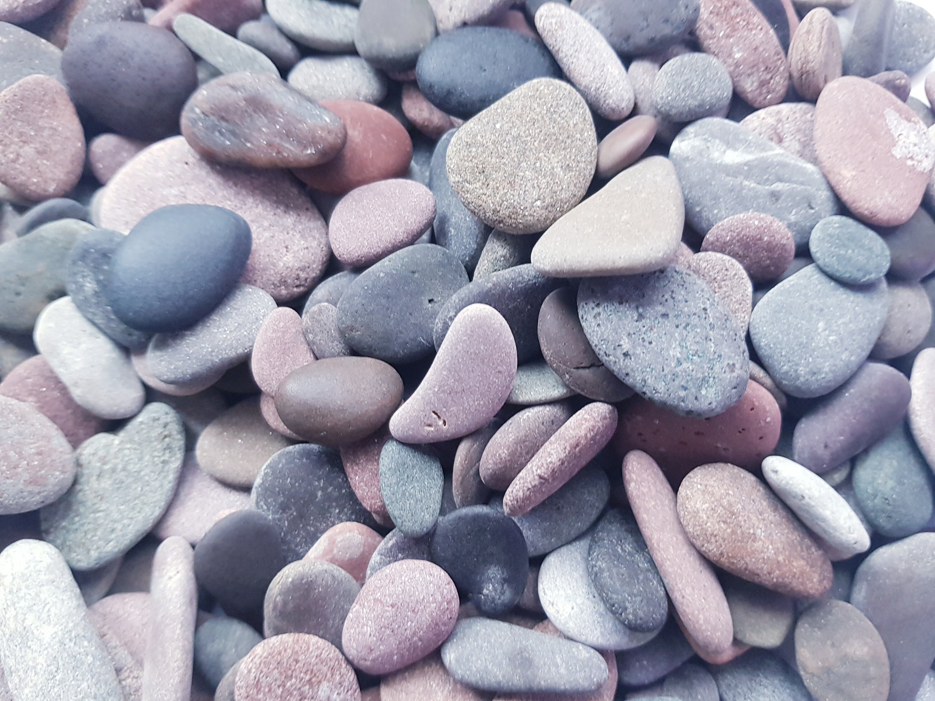 Pebble art supply Pebble bodies Sea pebbles Round oval shaped Etsy