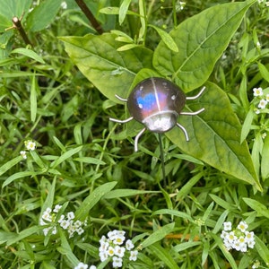 Handmade stainless steel ladybird. image 4