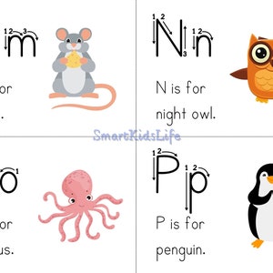 Zoo-phonics Alphabet Chart Flashcards Tracing Preschool - Etsy UK