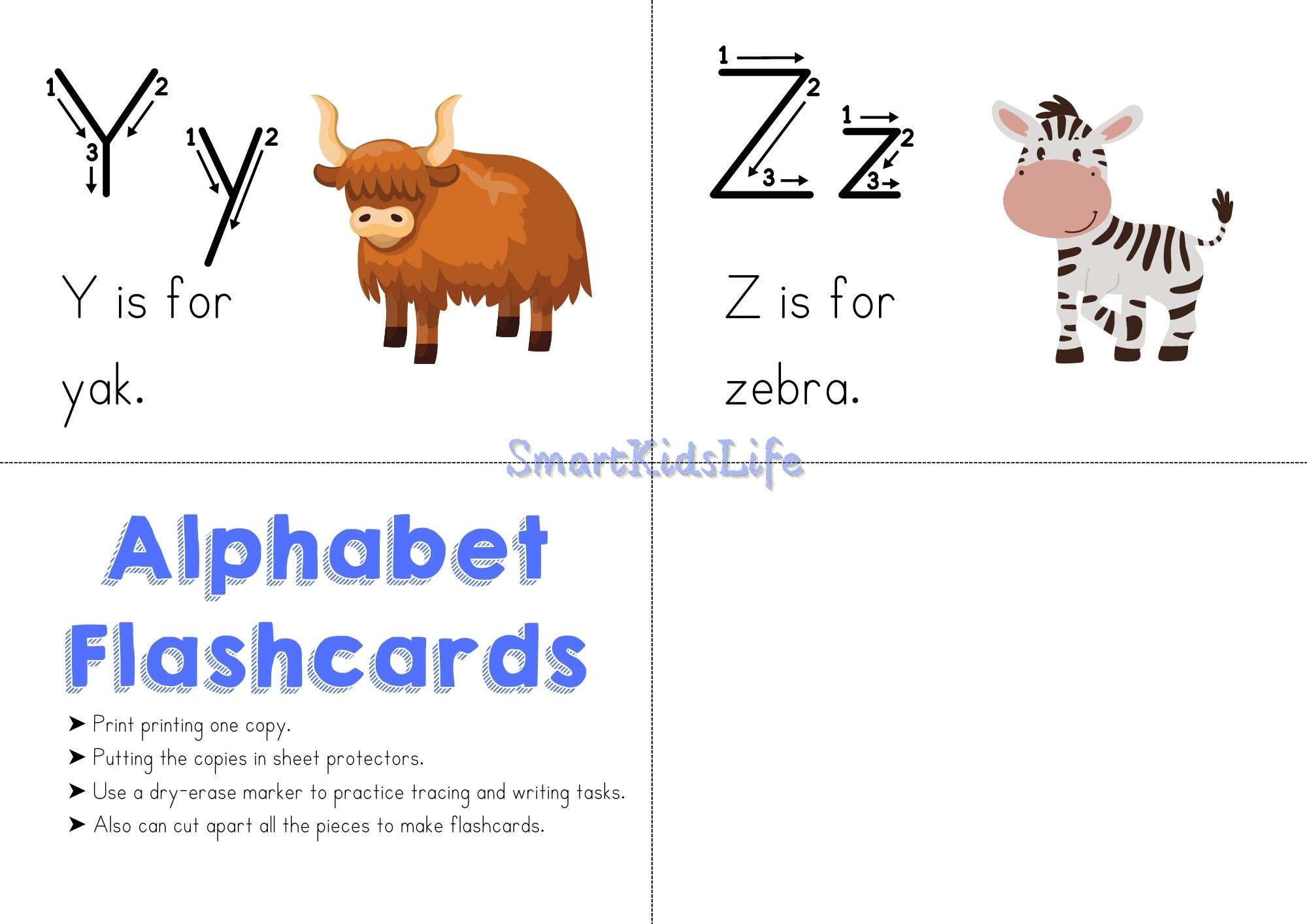 zoo-phonics-alphabet-chart-flashcards-tracing-preschool-kindergarten