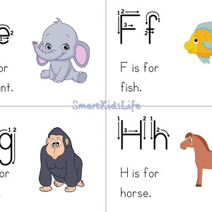 Zoo-phonics Alphabet Chart Flashcards Tracing Preschool - Etsy UK