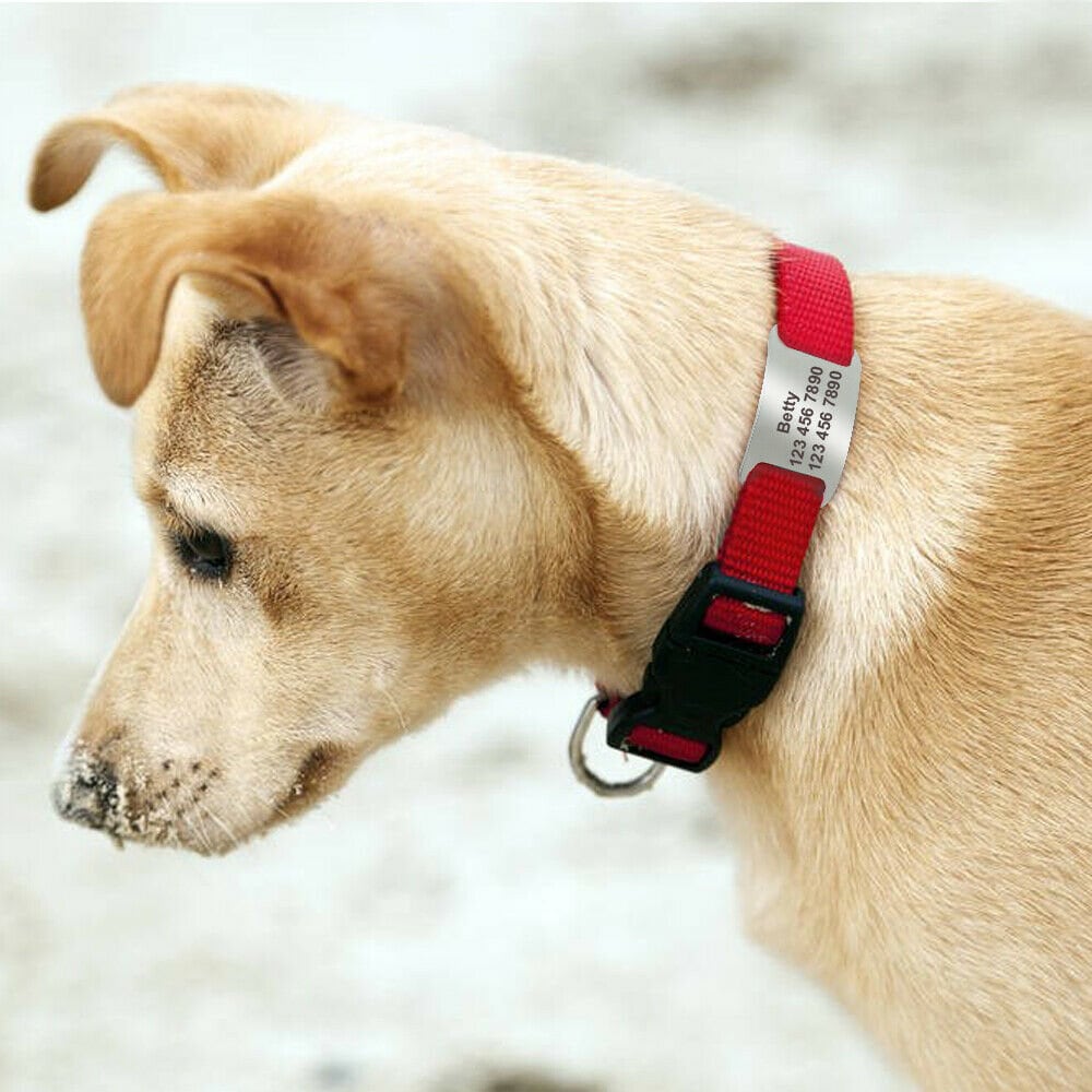 Slide on Dog Tag Personalized ID- Custom Name Engraved Stainless Steel ...
