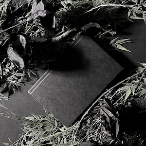 May include: A black book with a textured cover lies on a black surface surrounded by dark green leafy branches.