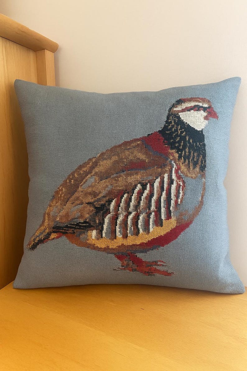 Red Legged Partridge Needlepoint Kit - Etsy