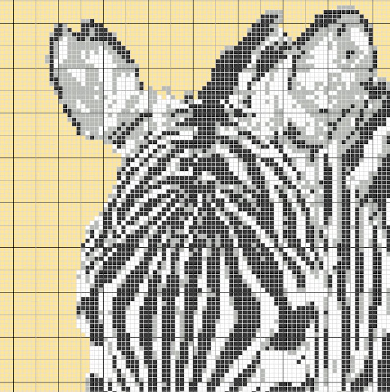 Zebra Needlepoint Chart Etsy
