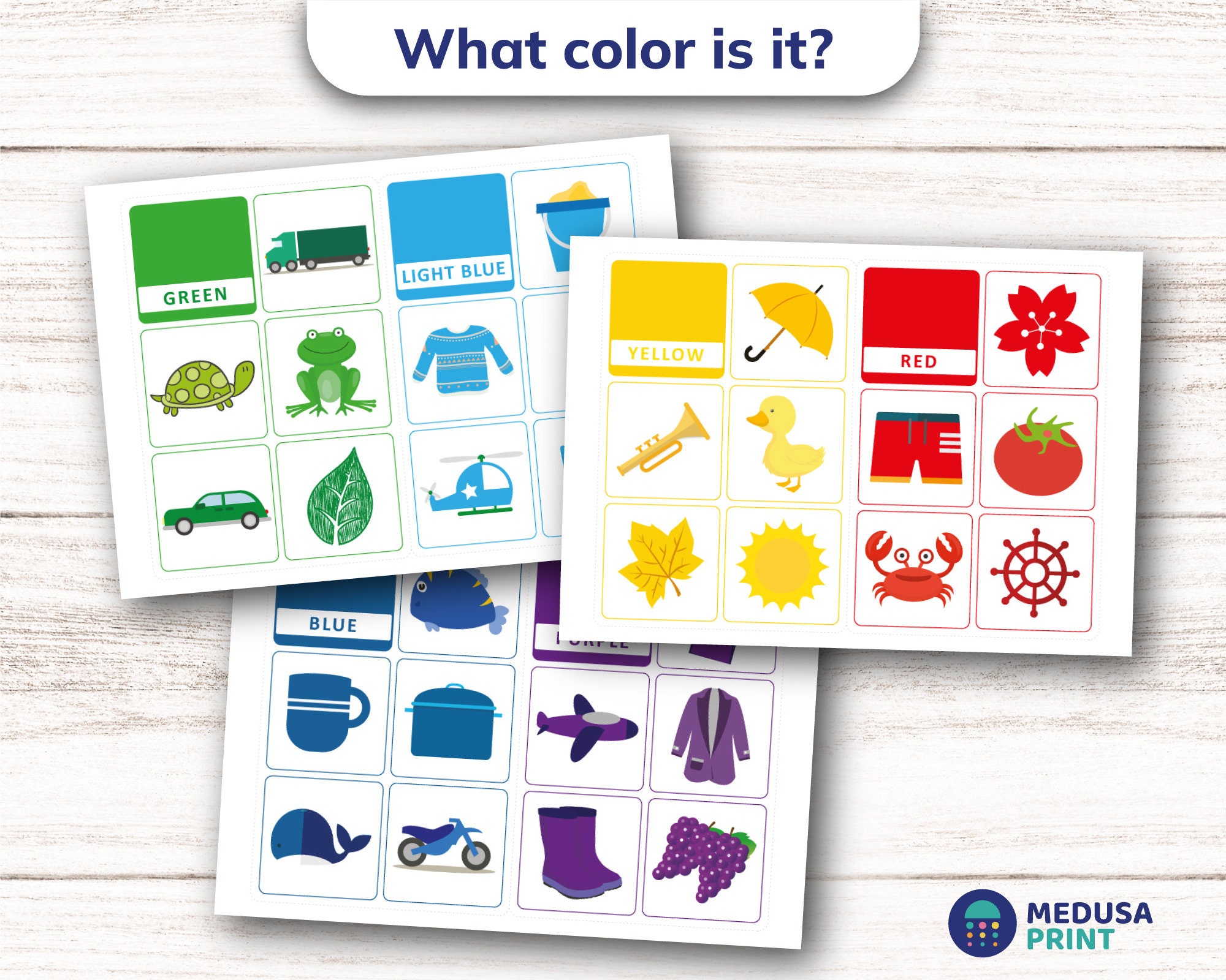 Color Study and Sorting Kit - Develops Perception, Logic and Memory ...