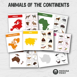 Entdecke Tiere aus aller Welt: Lernkontinent und Tierkarten für Kinder | Montessori-Farben | Kinder Geographie - DIGITAL