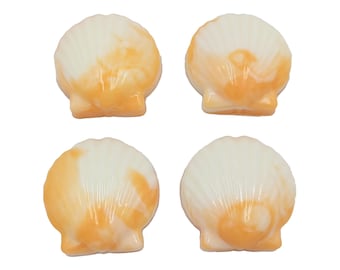 4 Orange Sea Shell Goat Milk Glycerin Bar Soaps - Bulk