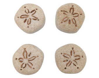 4 Sand Dollar Goat Milk Glycerin Bar Soaps with Walnut Shells - Bulk