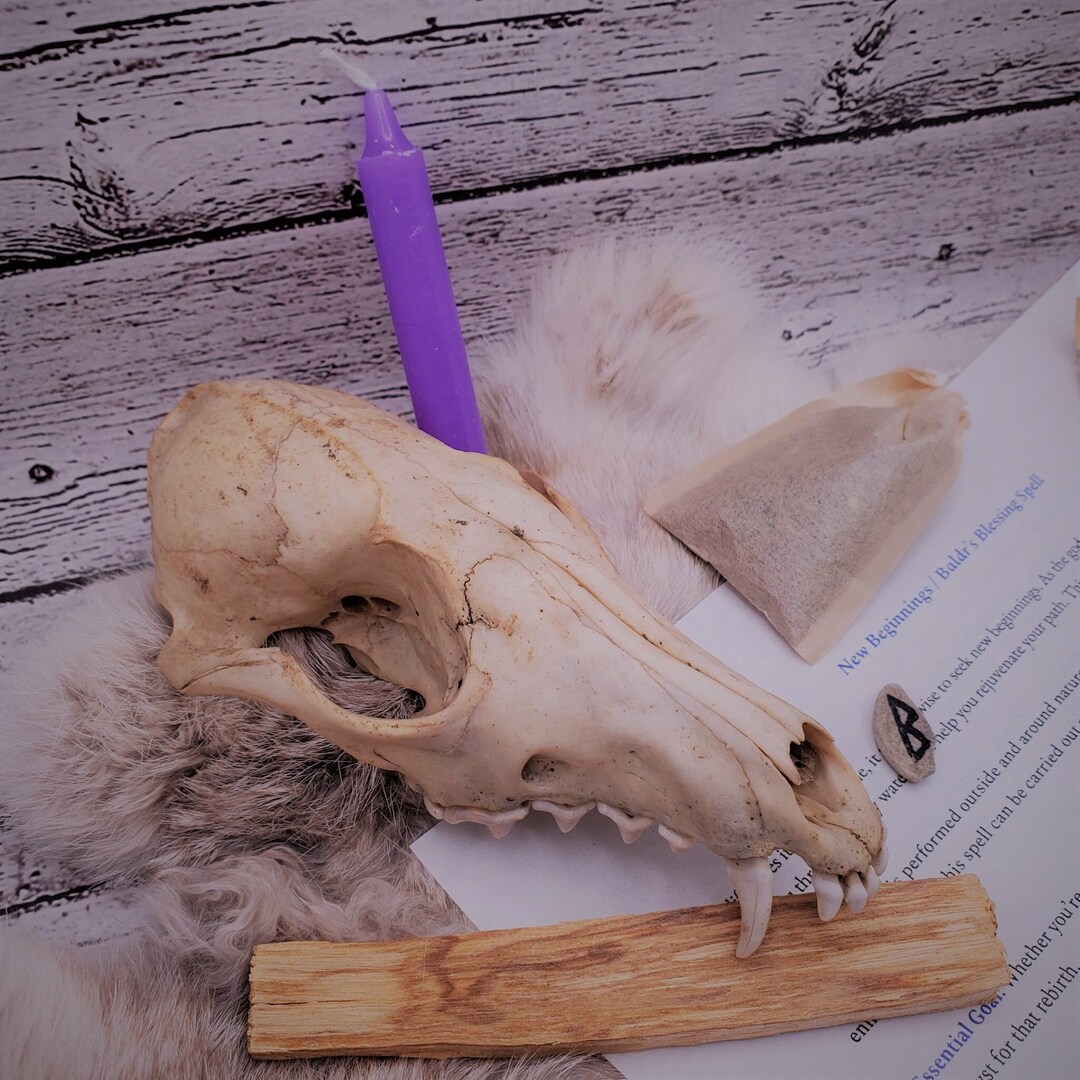 New Beginnings baldr's Blessing Spell Kit Spell Instructions Fresh