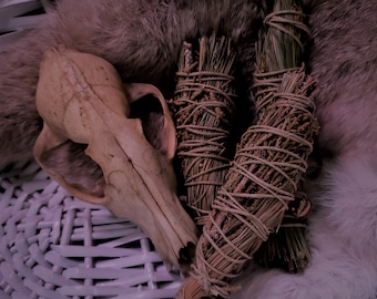 Pine and Juniper Smudge Sticks | Cleansing, Health, Prosperity, Protection