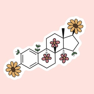 Estrogen Chemical Structure Vinyl Sticker, 3 inch