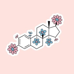 Trans Pride Estrogen Chemical Structure Vinyl Sticker, 3 inch
