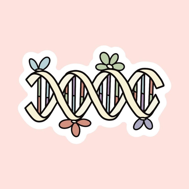 DNA Helix Vinyl Sticker, Floral Science Gift - Etsy
