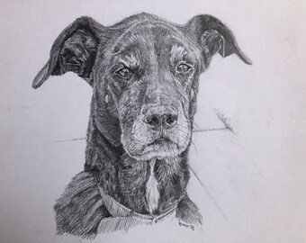 Custom pet portrait from original photo