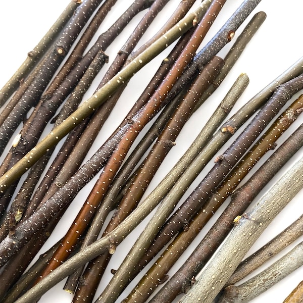 Craft Sticks Variety Pack - mixed colors sizes dark light crafting twigs natural materials supplies branches branch fairy house home decor