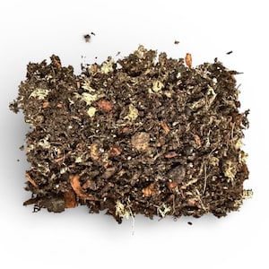 May include: Close-up of a pile of potting soil, a mix of dark brown soil, light brown bark pieces, and white and green organic matter. The soil is on a white background.