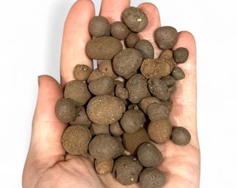 LECA Pebbles: Lightweight Clay Substrate for House Plants & Terrariums