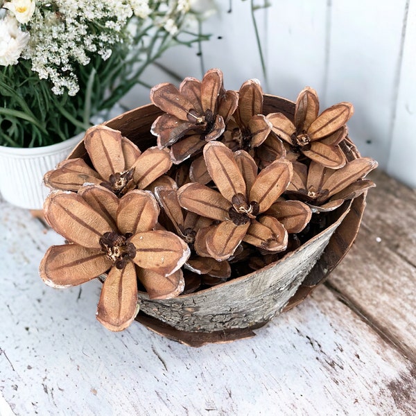 SOLD OUT - Wild Pinecone Flowers - natural pine cones holiday potpourri winter decoration wreath embellishment accent table decor crafts