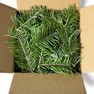 May include: A cardboard box filled with fresh, green fir tree branches. The branches have vibrant green needles and are arranged inside the open box. The box is made of brown cardboard.