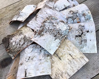 20 Pack 2” Birch Bark Pieces USA Sheet Wild Raw White Paper Birch - Sustainably Harvested - Natural Real Organic Wildcrafted for Crafts