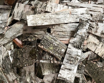Scrap Birch Bark Pieces - USA Sheet Wild Raw White Paper Birch - Sustainably Harvested - Natural Real Organic Wildcrafted for Crafts