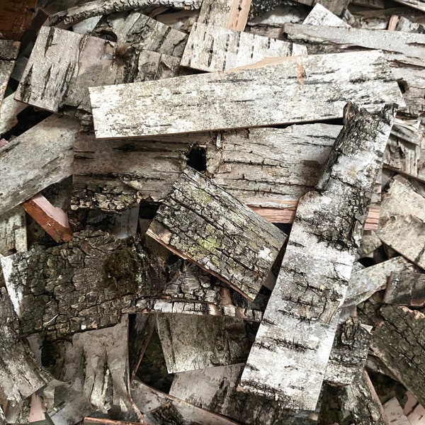 Scrap Birch Bark Pieces - USA Sheet Wild Raw White Paper Birch - Sustainably Harvested - Natural Real Organic Wildcrafted for Crafts