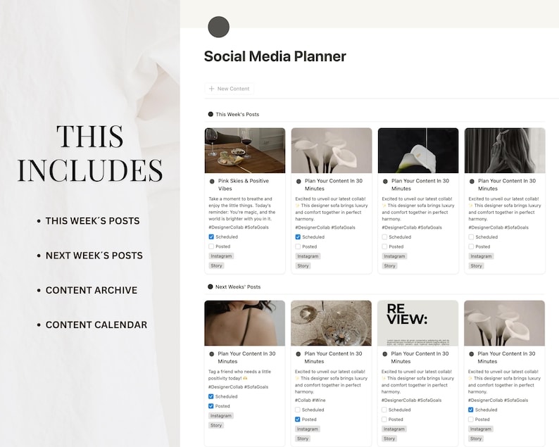 May include: A screenshot of a social media planner with a list of features including "This Week's Posts", "Next Week's Posts", "Content Archive", and "Content Calendar". The planner also includes a grid of sample social media posts with images and text.