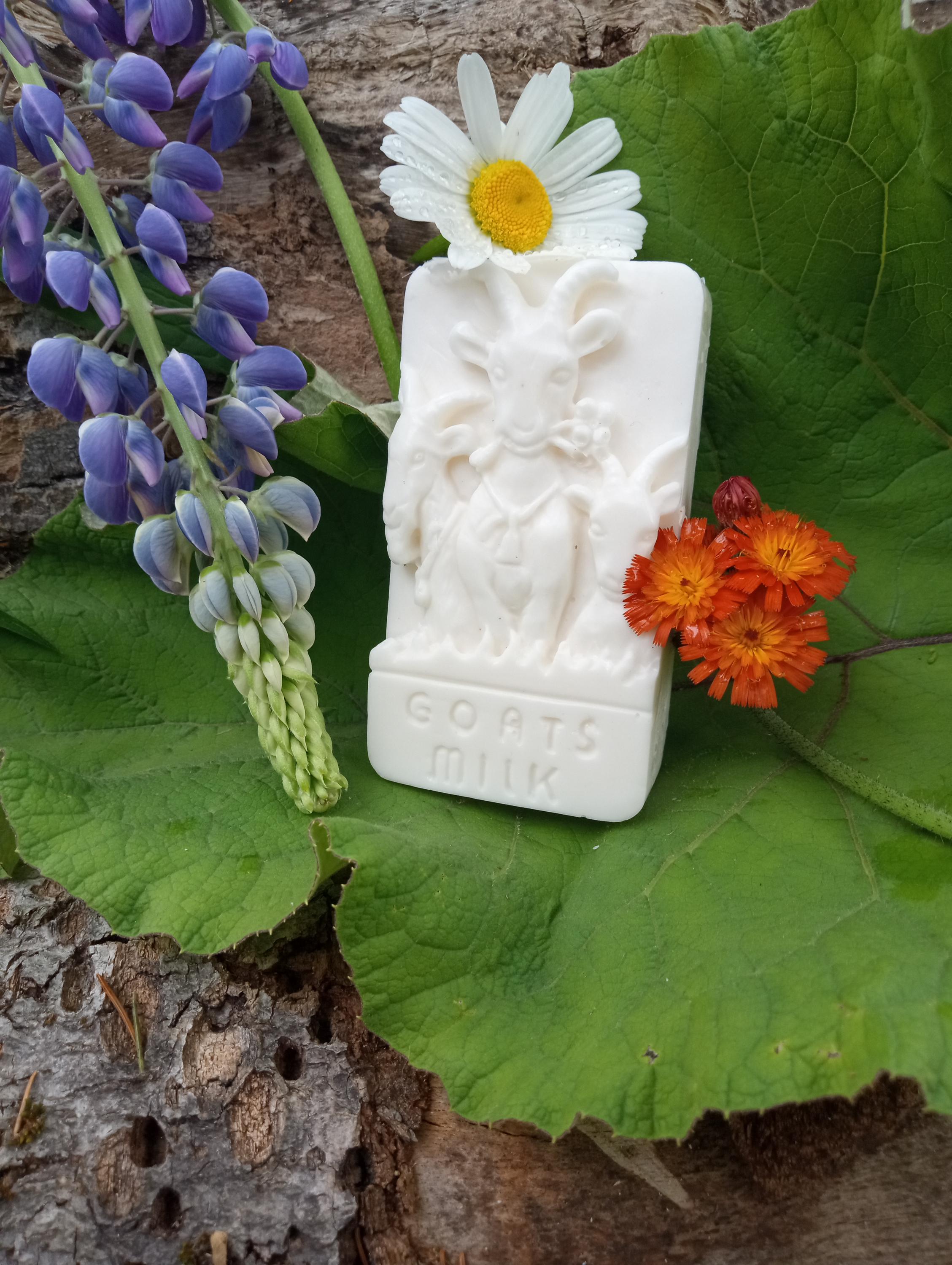 Pure Goats milk soap