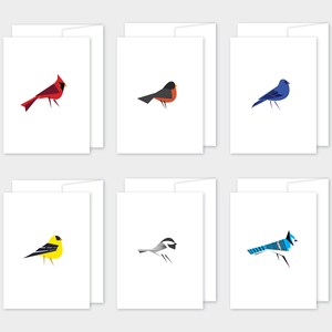 Modern Bird Graphic Card Set