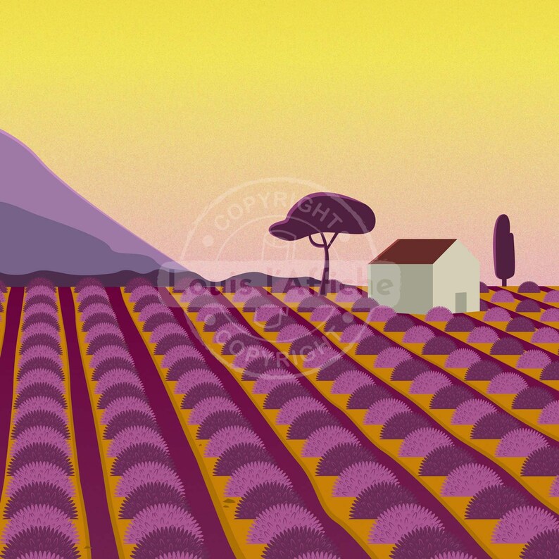 May include: A purple lavender field with a small white house and a tree in the background. The sky is a bright yellow.