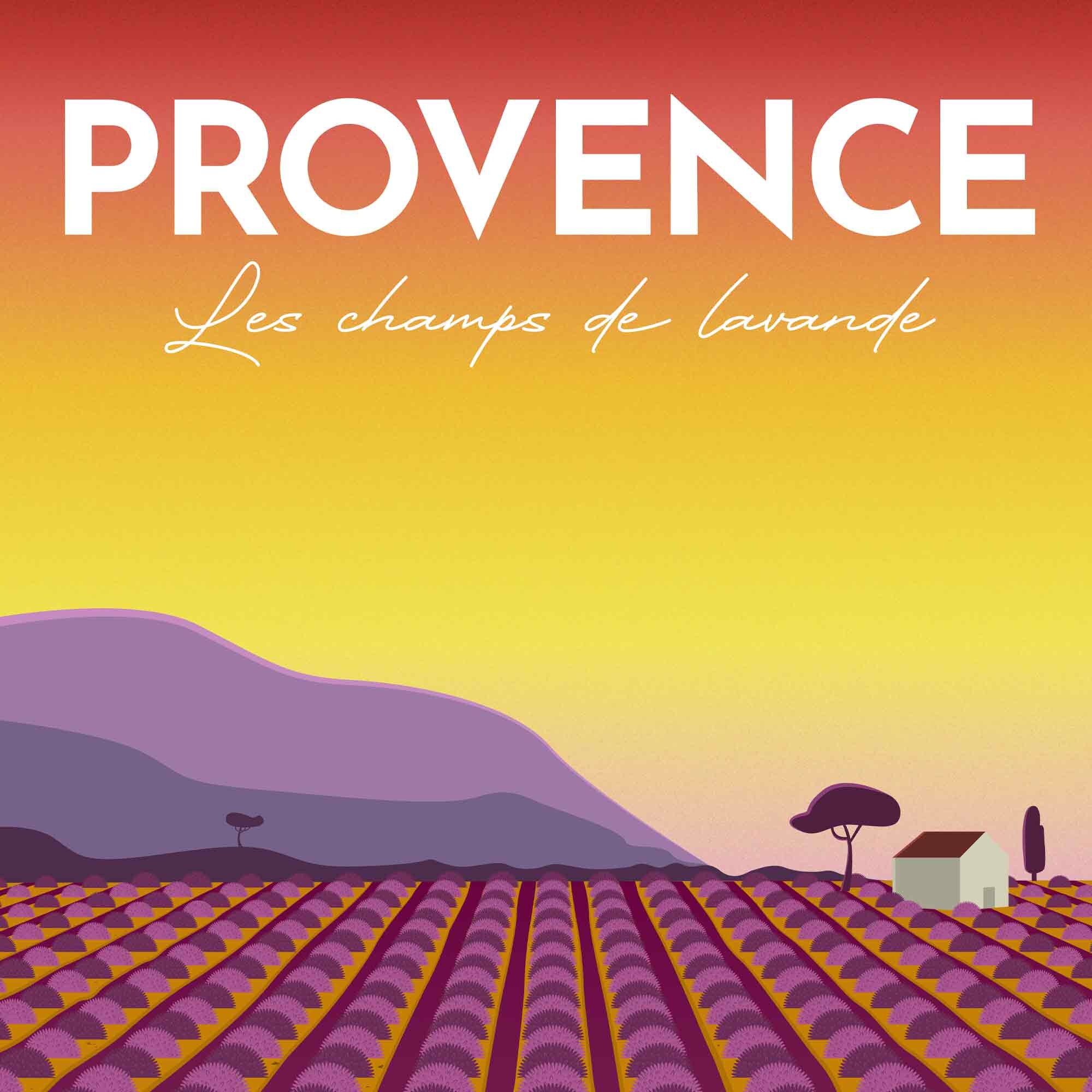 Discover Voyage Vintage France Provence Poster
