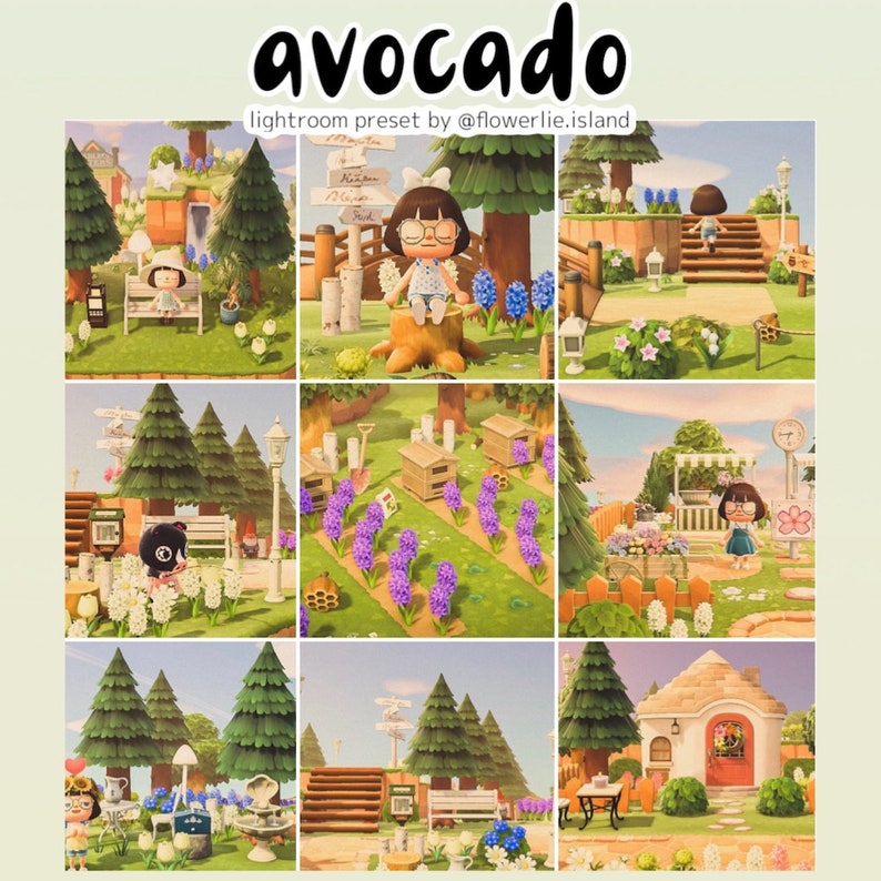 Toasty Preset Bundle Cinnamon & Avocado Animal Crossing ACNH Preset for