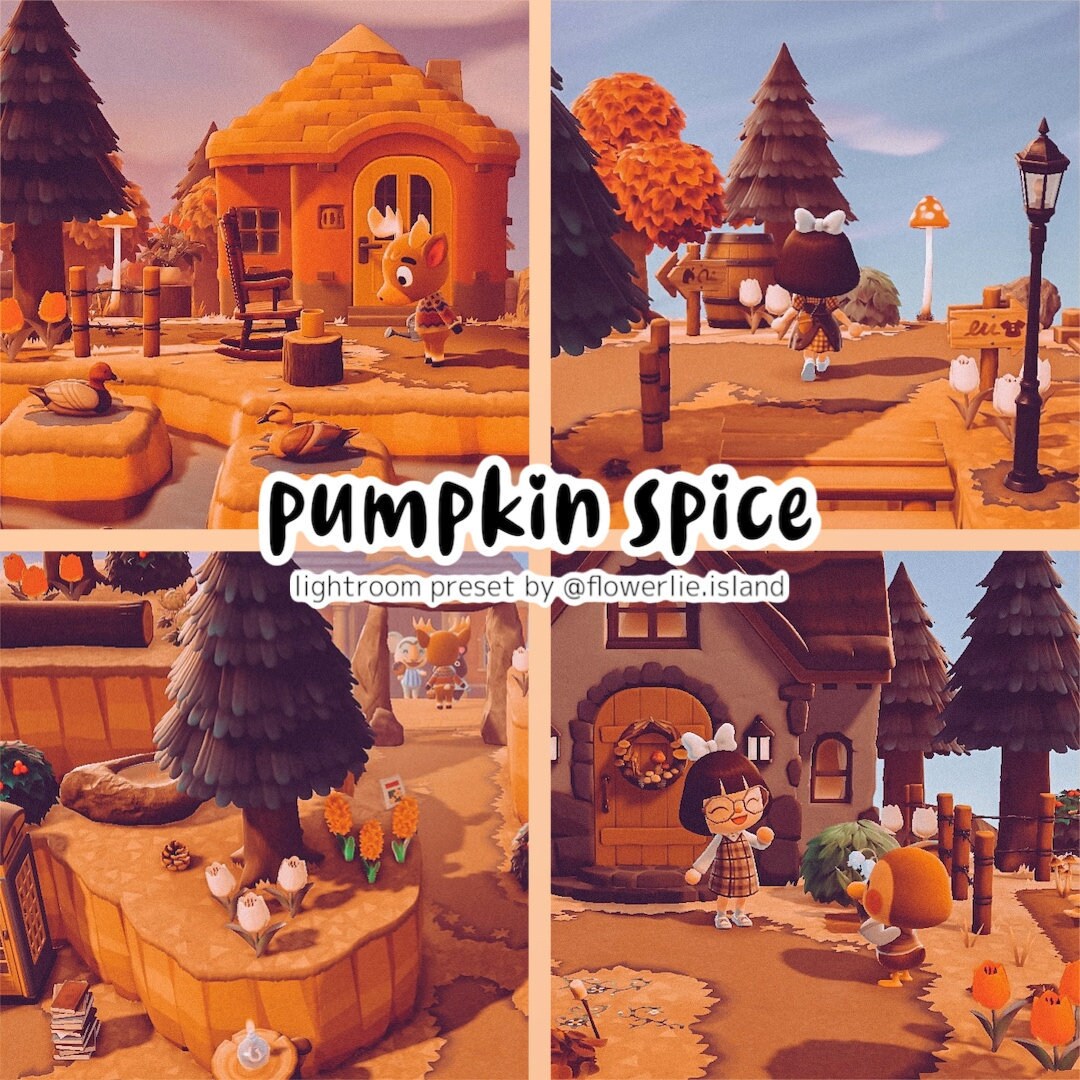 Pumpkin Spice Preset Animal Crossing Fall Autumn ACNH Preset Etsy