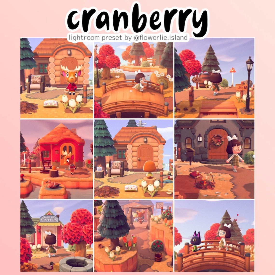 Cranberry Preset Animal Crossing Fall Autumn ACNH Preset for | Etsy