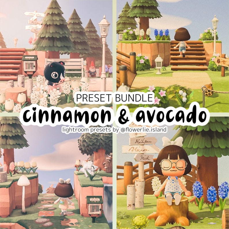 Toasty Preset Bundle Cinnamon & Avocado Animal Crossing ACNH Preset for