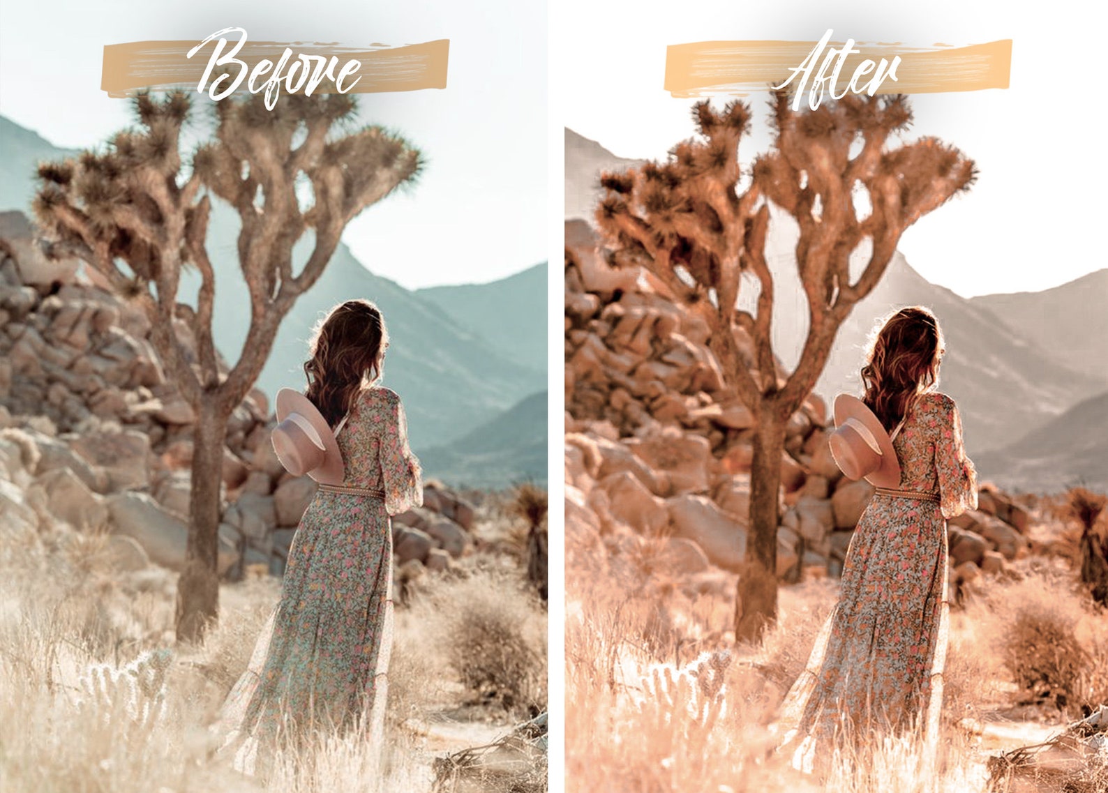 10 Sun Flare Lightroom Presets for Lightroom Mobile and Etsy