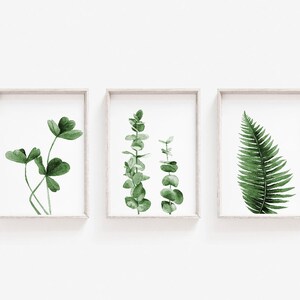 Green Clover, Eucalyptus and fern Poster/Prints | Set of 3 Prints | Home Decor | Flower Prints |High Quality |  (010)