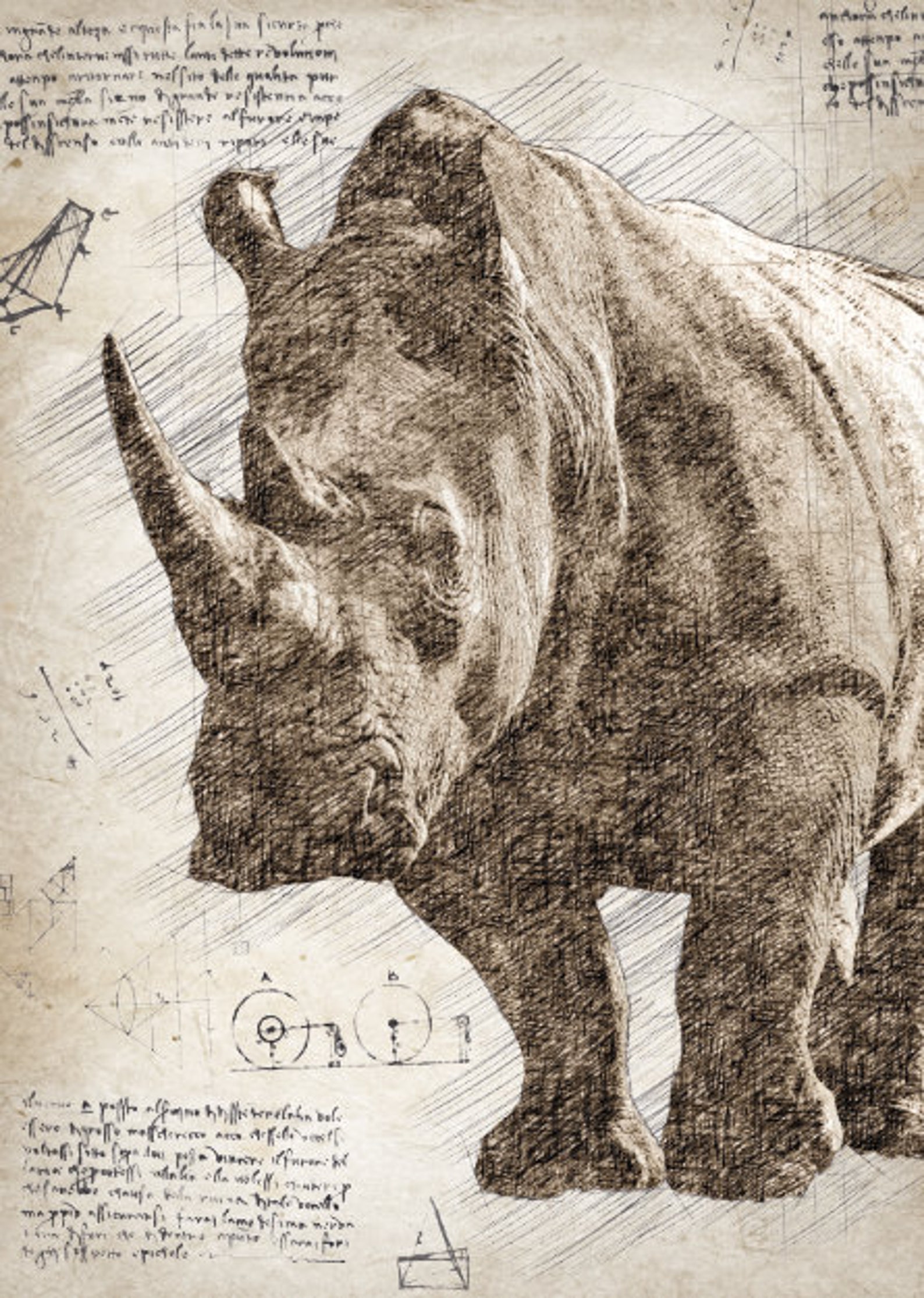 Vintage Animal Prints Set of 3 Linen Texture Rustic Etsy