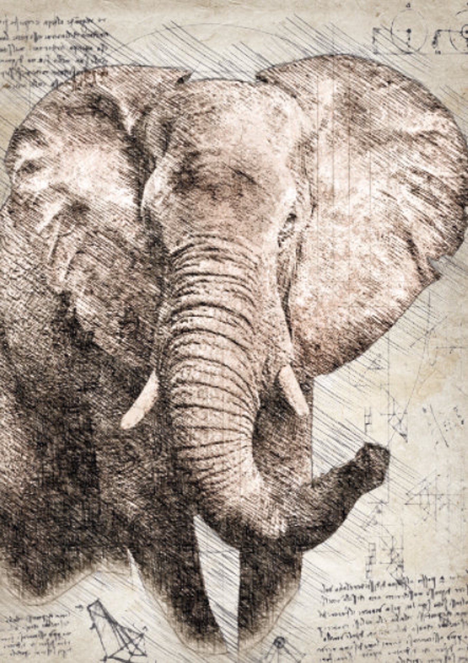 Vintage Animal Prints Set of 3 Linen Texture Rustic Etsy