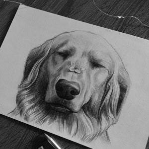Pet Portrait, Pet Drawing, Animals Drawing, Pet Lovers, Pencil drawing, Hand drawn pet portrait, Hand drawn pets, Hand Drawing of a pet,Gift